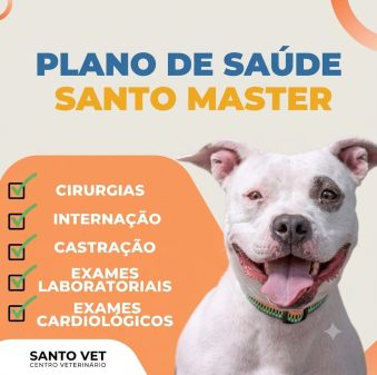 master